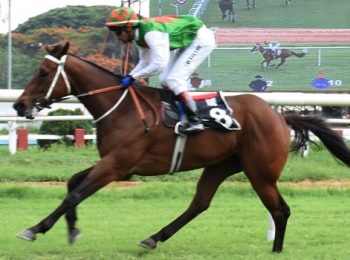 Trouvaille Triumphs in a spectacular fashion in Villoo Poonawalla Indian 2000 Guineas