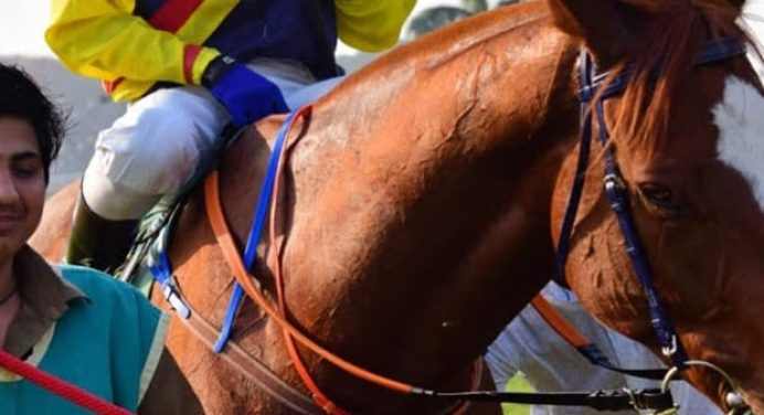 Van Dyke lived up to expectations; Priceless Place wins on debut