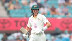 Marnus Labuschagne
